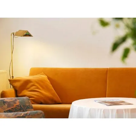 Cosy Near 방어로게